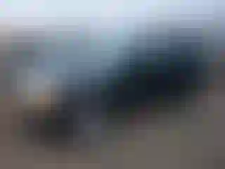 Vehicle Image- 2003 BMW X5