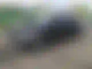IMPORTOWO.pl