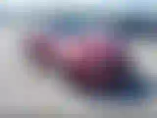 Vehicle Image- 2014 Kia Optima