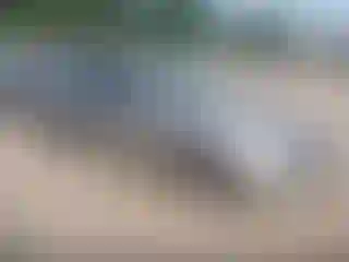 Vehicle Image- 2015 Kia Optima