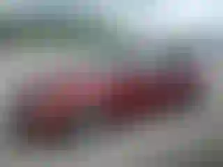 Vehicle Image- 2013 Kia Optima
