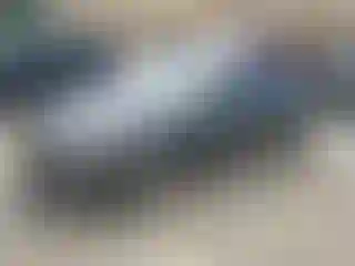 Vehicle Image- 2015 Kia Optima