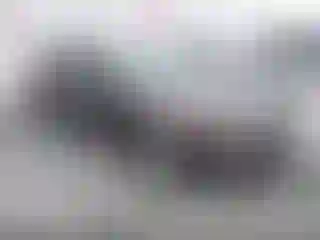 Vehicle Image- 2014 Kia Optima