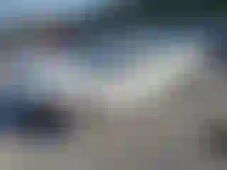 Vehicle Image- 2015 Kia Optima