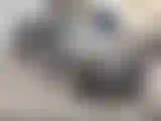 Vehicle Image- 2013 Kia Optima