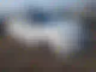 Vehicle Image- 2013 Kia Optima