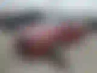 Vehicle Image- 2018 Kia Optima