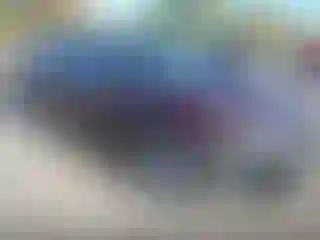 Vehicle Image- 2018 Kia Optima