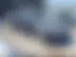 Vehicle Image- 2019 Kia Optima