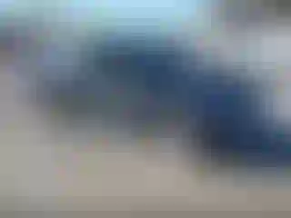 Vehicle Image- 2019 Kia Optima