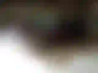 Vehicle Image- 2019 Kia Optima