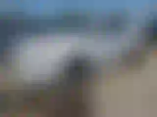 Vehicle Image- 2019 Kia Optima