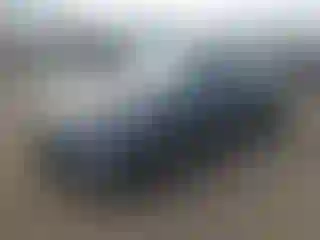 Vehicle Image- 2019 Kia Optima