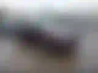 Vehicle Image- 2017 Kia Optima