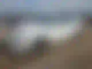 Vehicle Image- 2020 Kia Optima