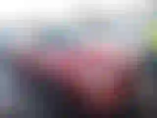 Vehicle Image- 2019 Kia Optima