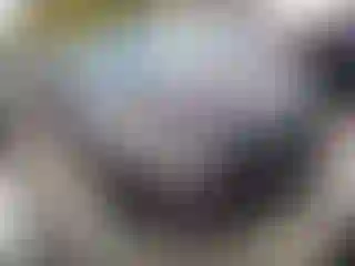 Vehicle Image- 2016 Kia Optima