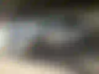 Vehicle Image- 2016 Kia Optima