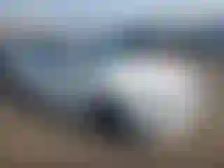 Vehicle Image- 2019 Kia Optima
