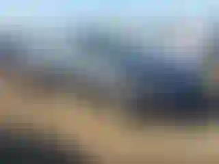 Vehicle Image- 2019 Kia Optima