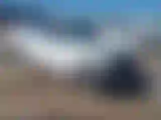 Vehicle Image- 2019 Kia Optima