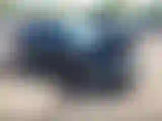 Vehicle Image- 2016 Kia Optima