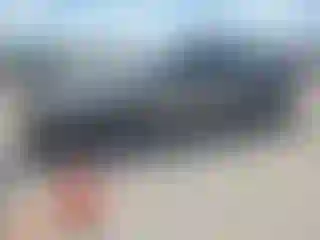 Vehicle Image- 2016 Kia Optima