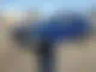 Vehicle Image- 2023 Kia Sportage