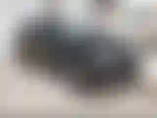 Vehicle Image- 2023 Kia Sportage