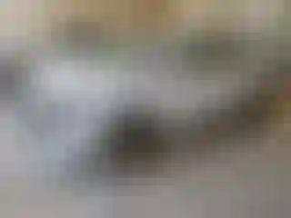 Vehicle Image- 2023 Kia Sportage