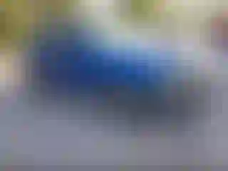 Vehicle Image- 2024 Kia Sportage