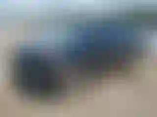 Vehicle Image- 2023 Kia Sportage