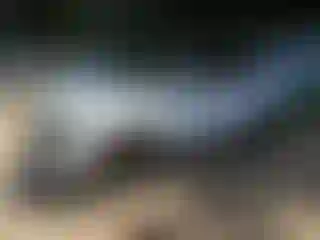 Vehicle Image- 2025 Kia Sportage