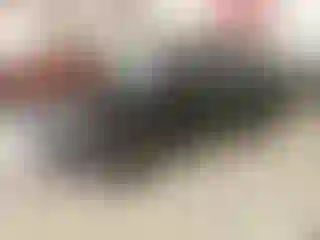 Vehicle Image- 2023 Kia Sportage