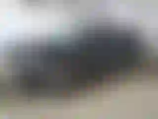 Vehicle Image- 2023 Kia Sportage