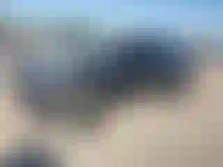 Vehicle Image- 2023 Kia Sportage