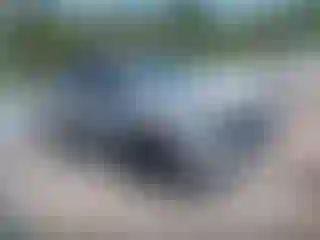 Vehicle Image- 2024 Kia Sportage