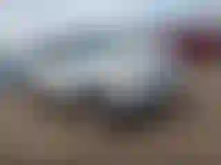 Vehicle Image- 2011 Kia Sorento