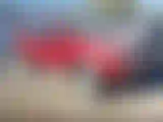 Vehicle Image- 2011 Kia Sorento