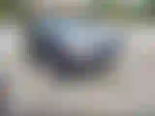 Vehicle Image- 2011 Kia Sorento