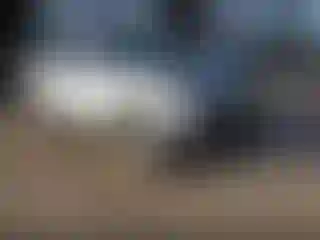 Vehicle Image- 2011 Kia Sorento