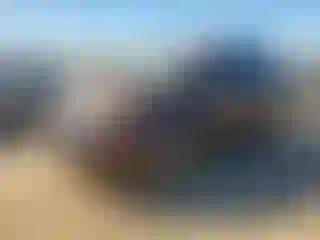 Vehicle Image- 2012 Kia Sorento