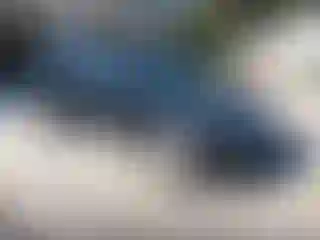 Vehicle Image- 2015 Kia Sorento