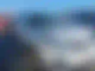 Vehicle Image- 2014 Kia Sorento