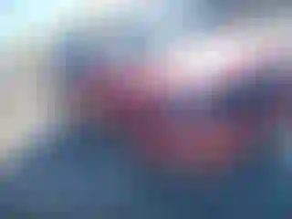 Vehicle Image- 2015 Kia Sorento