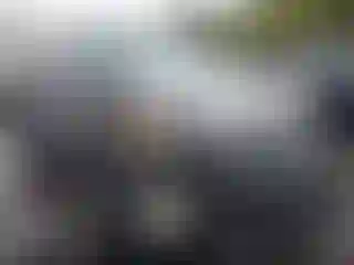 Vehicle Image- 2011 Kia Sorento