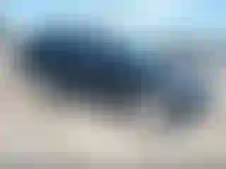 Vehicle Image- 2011 Kia Sorento