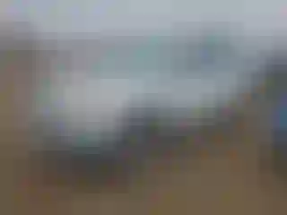 Vehicle Image- 2011 Kia Sorento