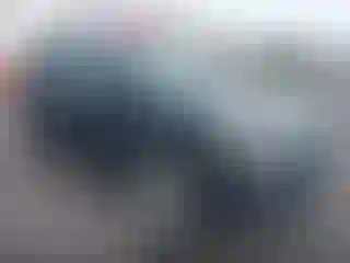 Vehicle Image- 2011 Kia Sorento