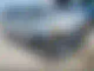 Vehicle Image- 2012 Kia Sorento